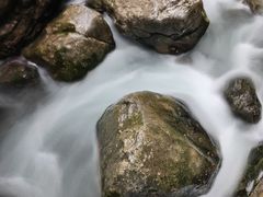 -鹿院坪生态旅游景区