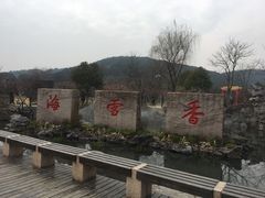 -香雪海