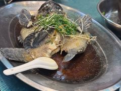 -石岐乳鸽村(南海第三分店)
