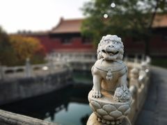 -故宫博物院(故宫)