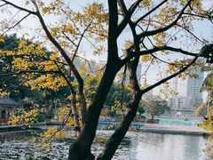 -荔湾湖公园