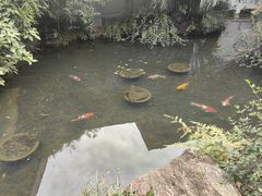 -中国茶叶博物馆(双峰馆区)
