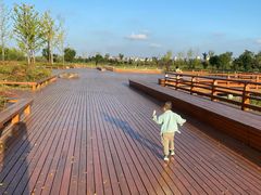 -汉长安城未央宫国家考古遗址公园