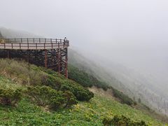 -凤凰山国家森林公园
