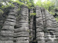 -梭布垭石林景区