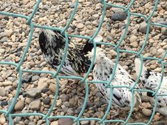 -南京金牛湖风景区