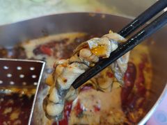 -野妹火锅(龙岗店)
