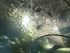 -大明湖海底世界