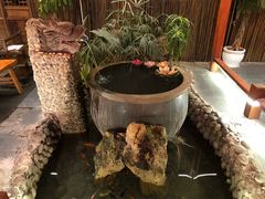 -三道苗苗鱼·美蛙黄辣丁(八里店)
