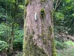 -梦姑塘文化公园