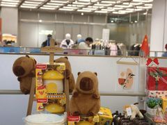 -永旺梦乐城(武汉金桥店)