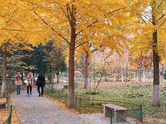 -茶百道(传媒大学店)