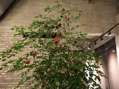 店内环境-瓷语堂(上海五维空间创意园店)