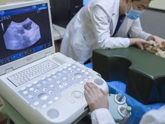 -爱派特动物医院·全科诊疗中心