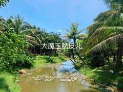 景点-白沙门生态公园