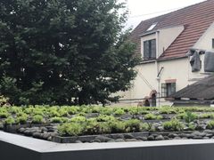 -GRACE CHEN高级时装