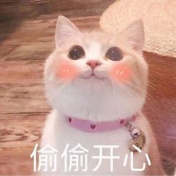 -梳蕾娜 HAIR SALON