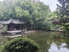 -汇龙潭