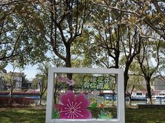 -高东镇樱花园