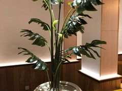 -森Some Fusion(荔湾店)