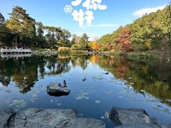 -香山公园