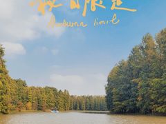 -上海海湾国家森林公园