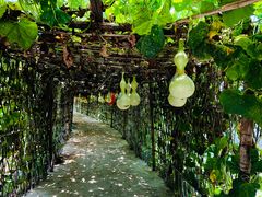 -元鼎宝驴香·全驴宴(江宁店)