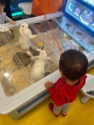 -孩子王童乐园(石家庄裕华万达店)