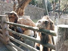 -昆明动物园