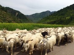 iphone_upload_pic-空中草原