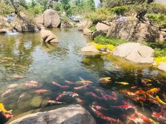 -罗红摄影艺术馆