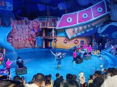 -烟台海昌鲸鲨海洋公园