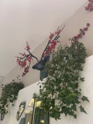-木北护肤造型