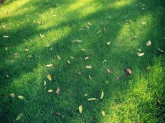 -常州古运河南大街文化旅游区-人民公园