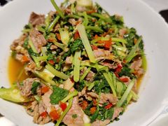 香菜炒牛肉-壹盏灯(蚂蚁工房店)