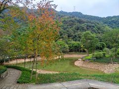 -黄公望隐居地