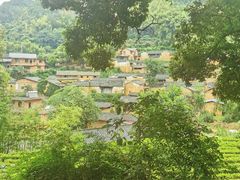-杨家堂村
