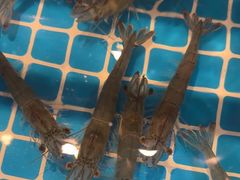 -阳光岛·海鲜盛宴(银泰中心in99店)