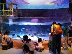 -沈阳海洋探索中心