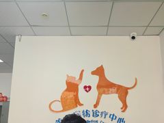 -美美宠物诊疗中心·异宠·骨科(滨江东信分院)