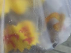 -官塘陈记鱼生·潮汕砂锅粥·牛肉火锅(潮枫路总店)