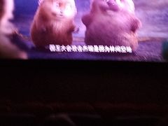 -万达影城(金牛万达广场激光IMAX店)