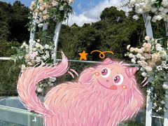 -亚龙湾热带天堂森林公园