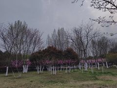 -滨湖塘西河公园