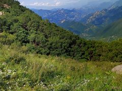 -白草畔自然风景区