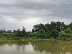 -桤木河湿地公园