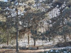 -秦始皇帝陵博物院-丽山园