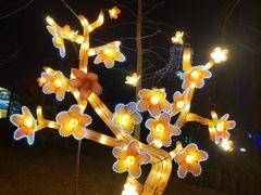 -南宫五洲植物乐园