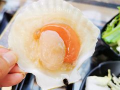 扇贝-丽江庭院之爱在路上(西单店)