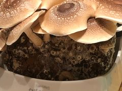 -鲜货俚鲜火锅(青果路店)